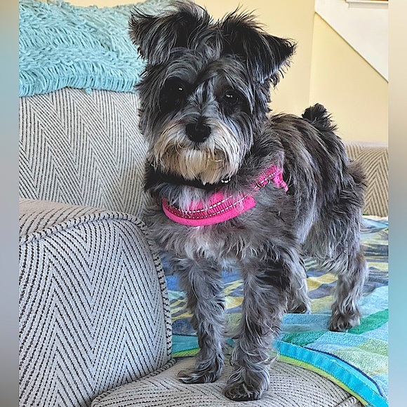 FOLLOW GAME! I FOLLOW EVERYONE BACK! - Picture 4 of 15